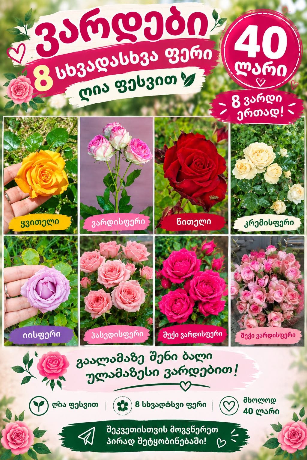 🌹🌹 ვარდების დიდი არჩევანი! 🌹🌹 🌈