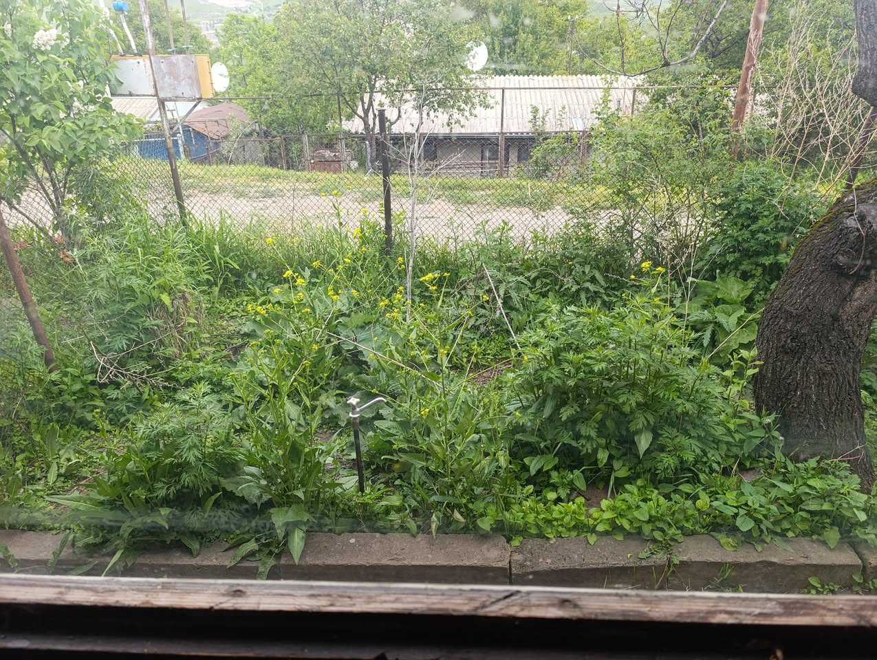Hoxi tun 2 kat, 561 m2