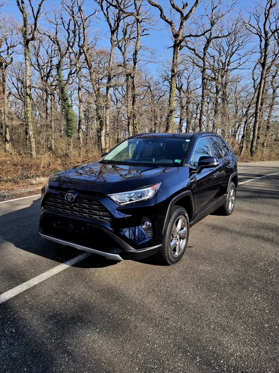 Toyota Rav4 Hybrid Limited 2020