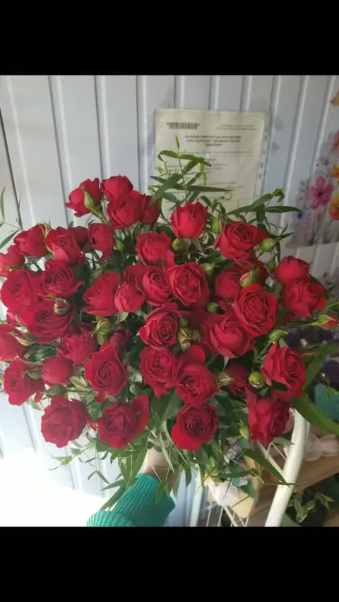 Kırmızı sprey gül çiçeği demeti