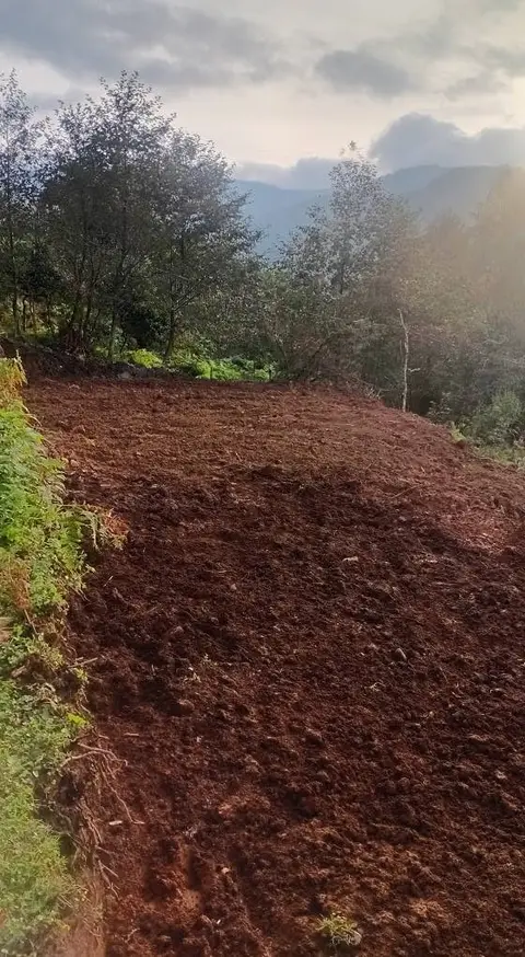 Plot of land, Tbilisi