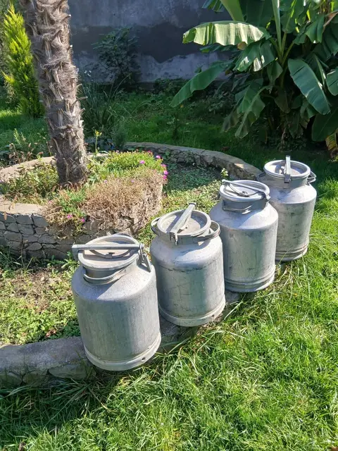 Aluminum milk cans for sale. Almost new — 500₾