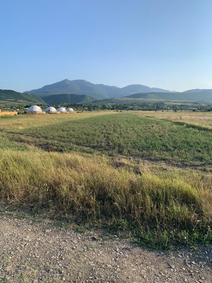 Land 6500 sq m near Tbilisi