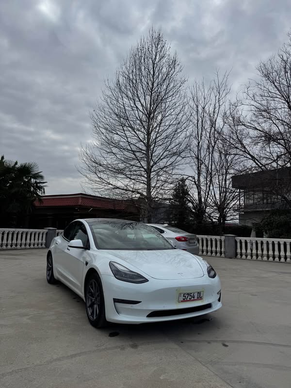Tesla Model 3 2020