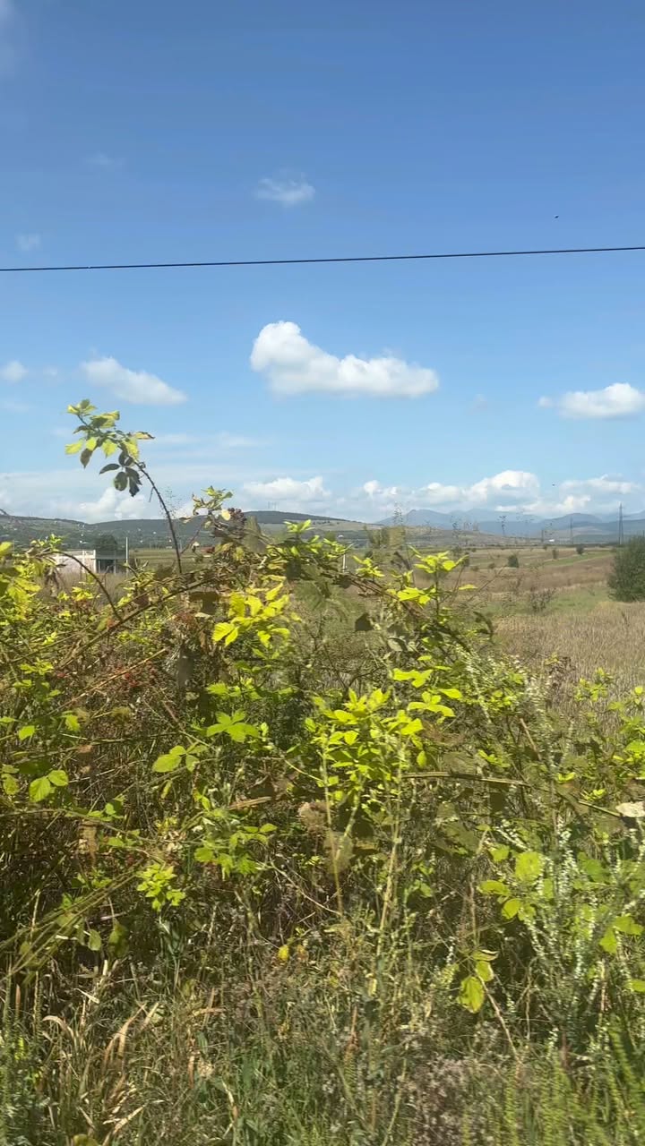 Հող