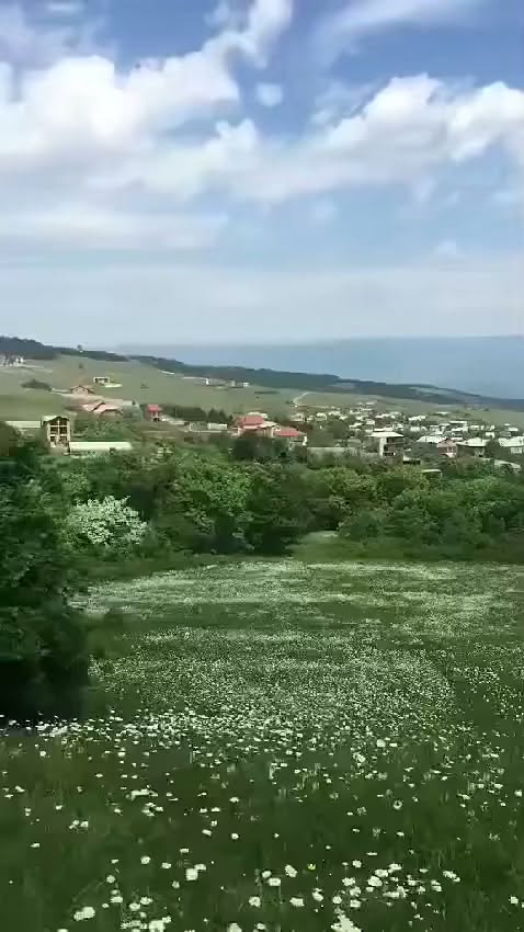 8500 kv.m torpaq sahəsi Çavkisişdə