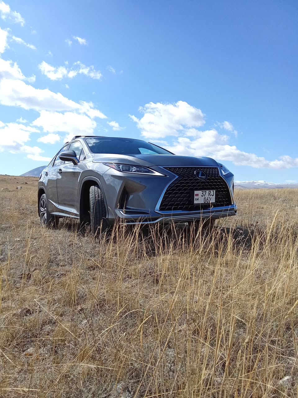 Lexus RX 350 2020