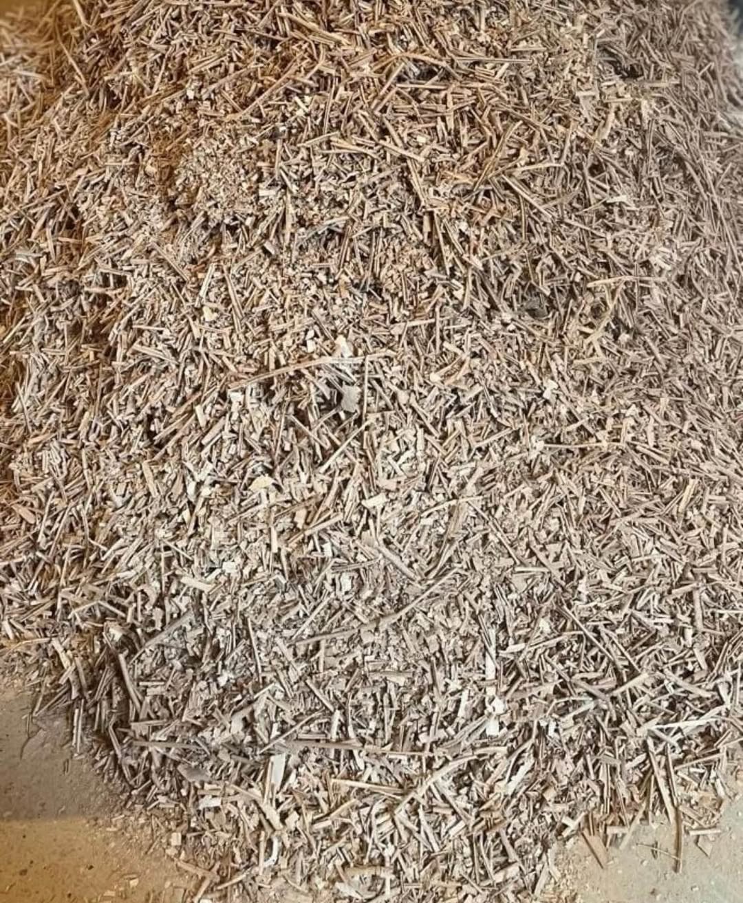 Cedar wood for sale, large amount — 500֏
