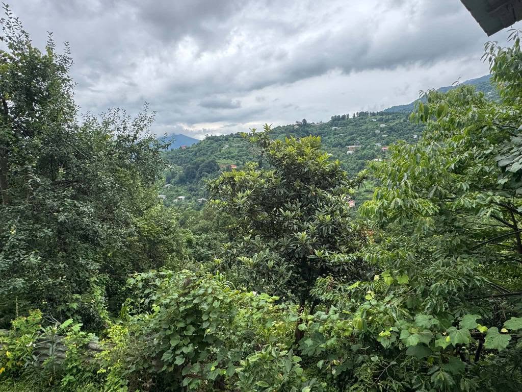 Ev, Batumı