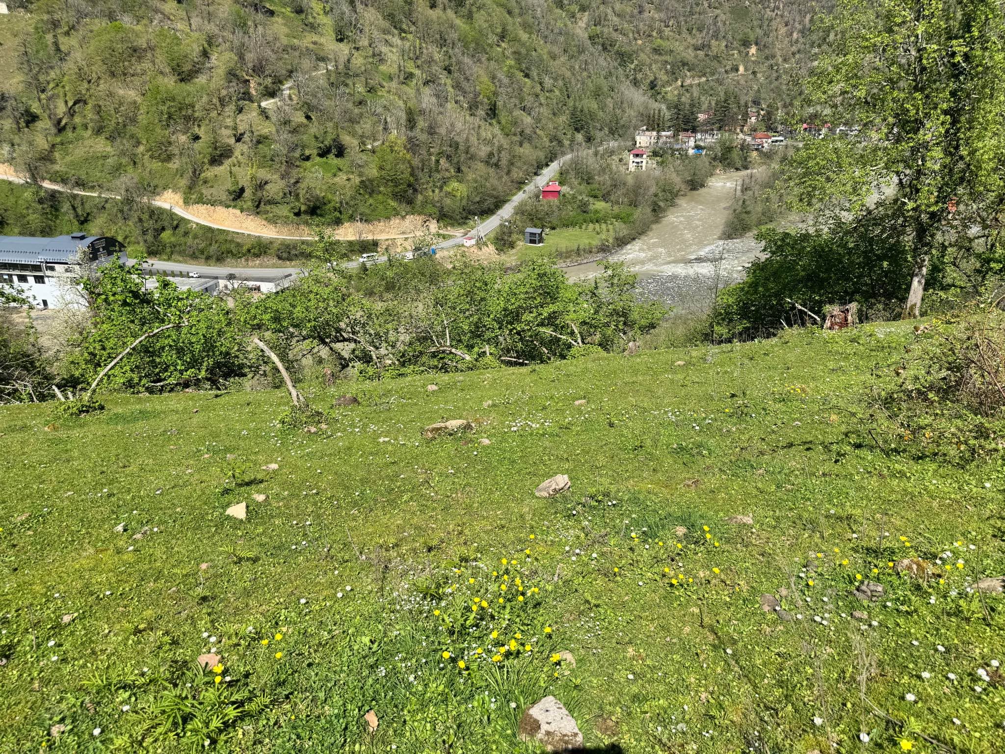 Հողակտոր, Խելվաչաուրի — $40
