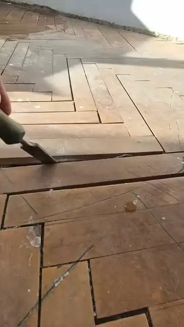 Ցիկլովկա
