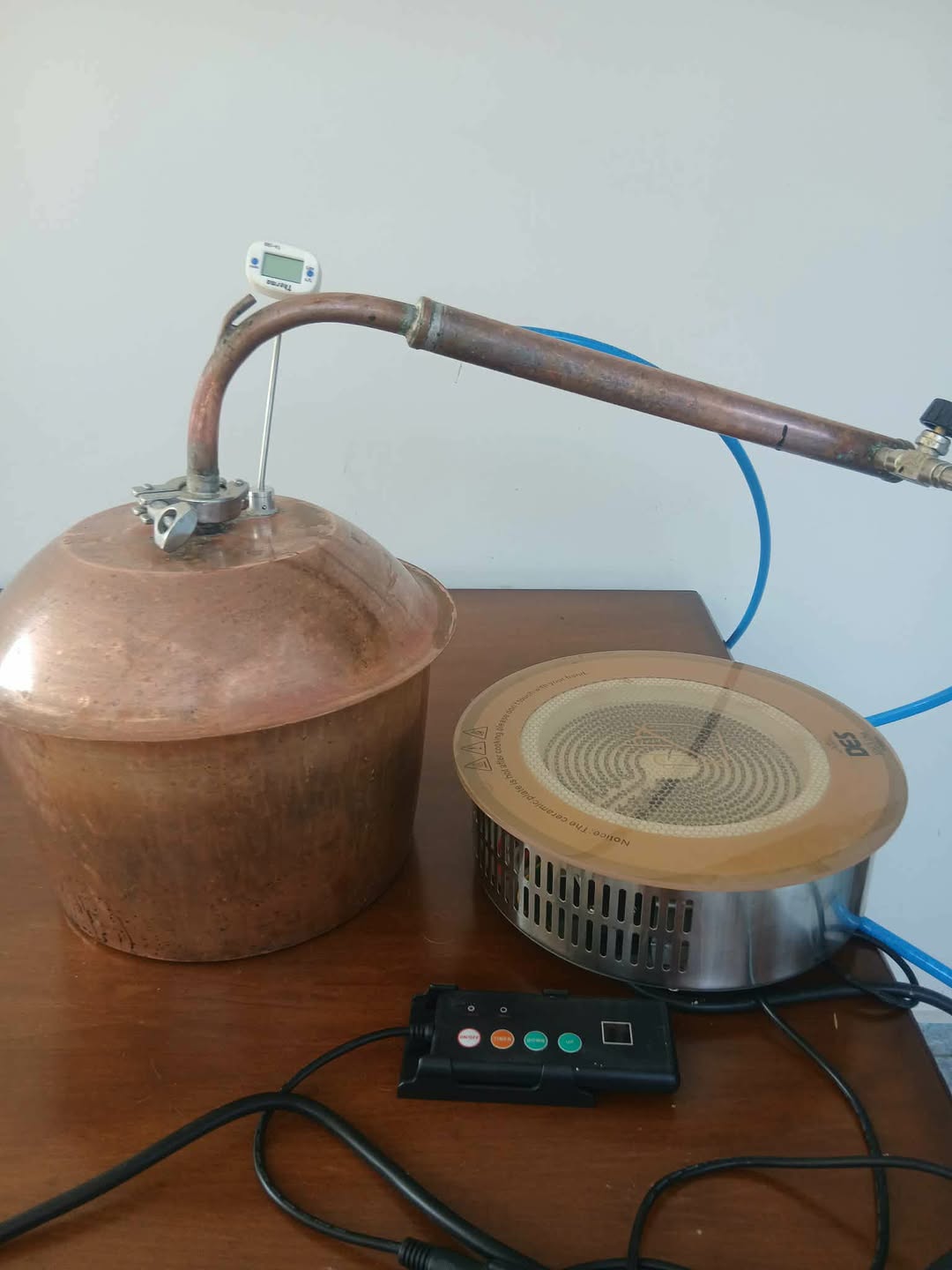 Maple electric kettle, dome-shaped, 10 liters — 1,300₾
