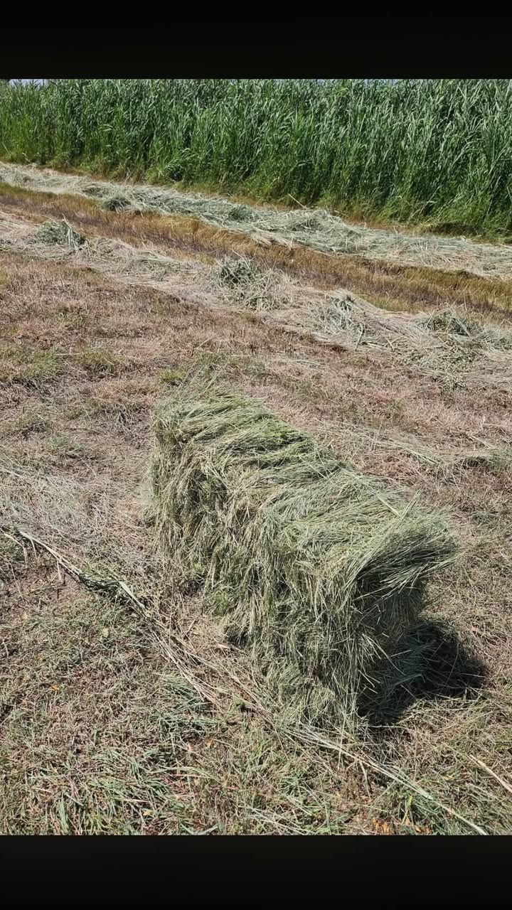 Satılır təmiz mədən otunun pressləri maşınlar