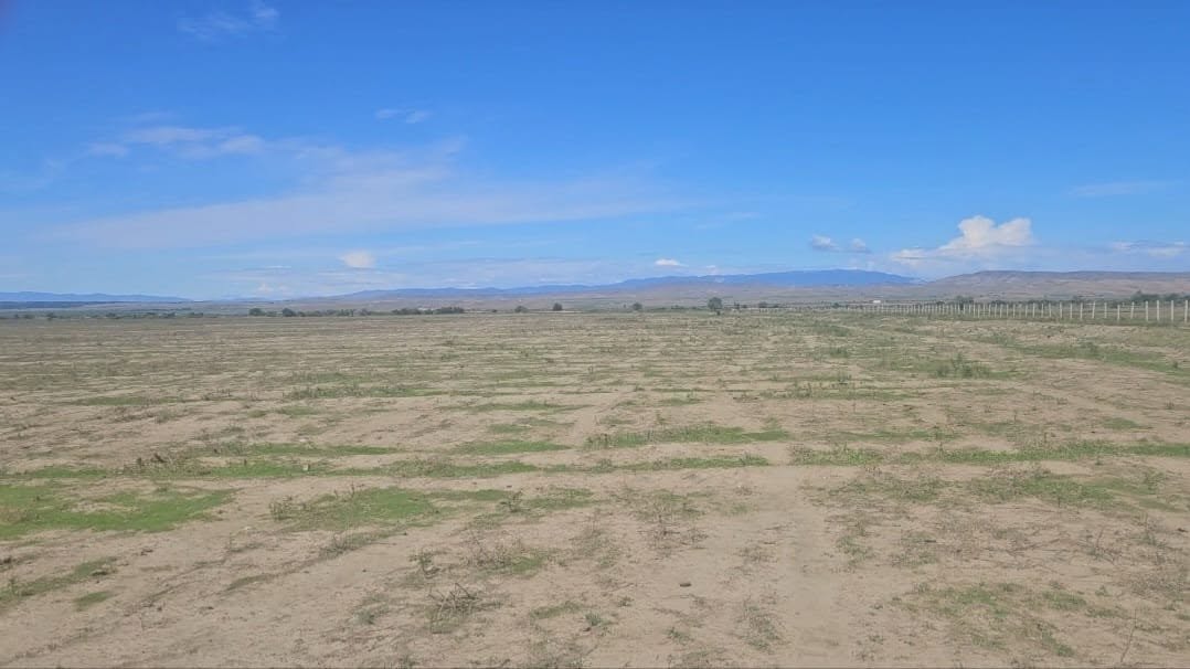 Gardabani rayonunda 27.5 ha torpaq satılır