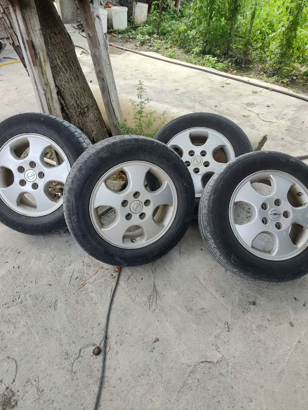Վաճառվում է 14 տ 4 բոլտային իդեալ