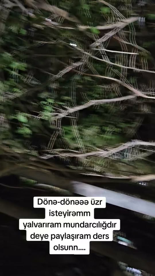 Araç