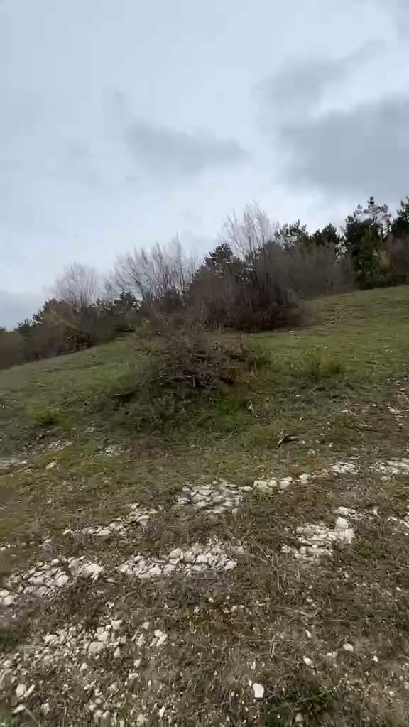 Arazi, Haşuri — $38,500