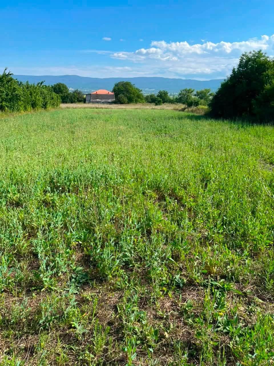 Land plots are for sale in the village of Tolendji, Tianeti.