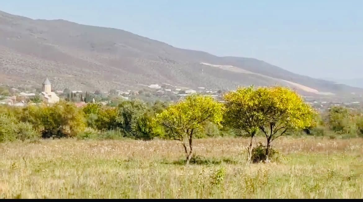 Tsilkanıda 1500 kv.m torpaq sahəsi
