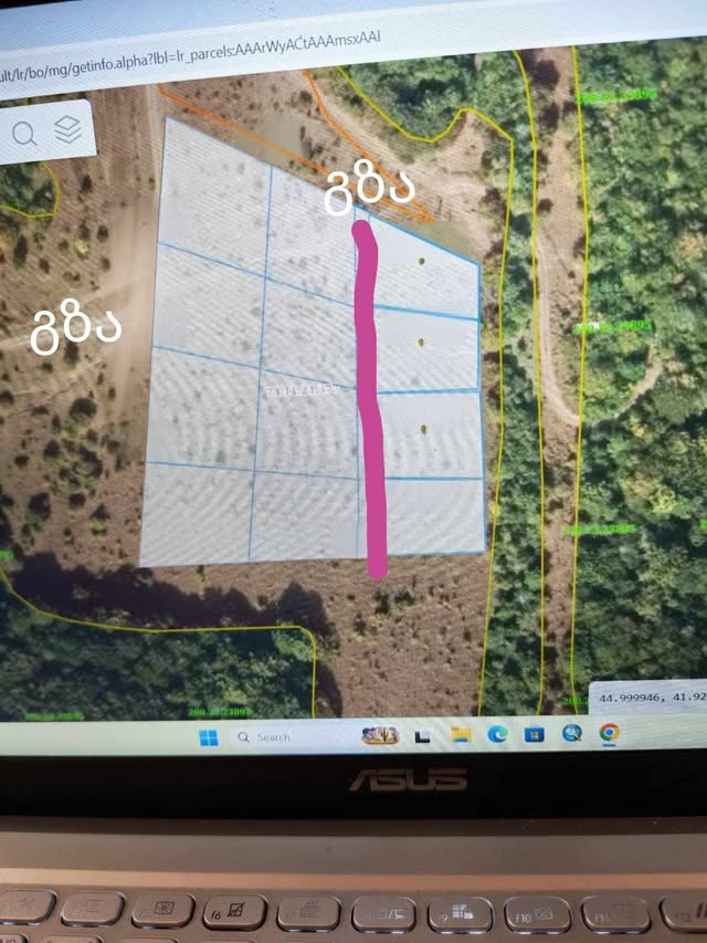 For sale in Tianeti, village Magraneti, arable land