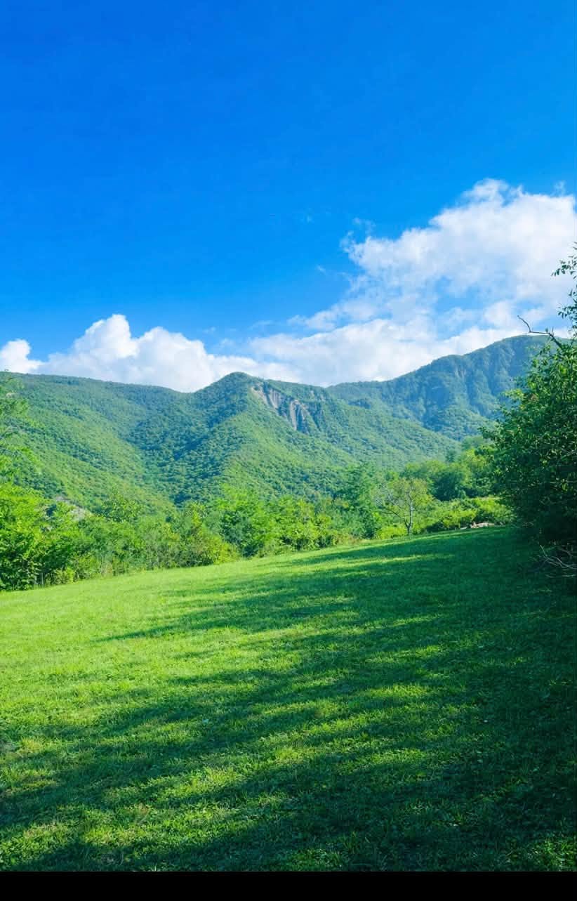 Land plot, Mtskheta — $32