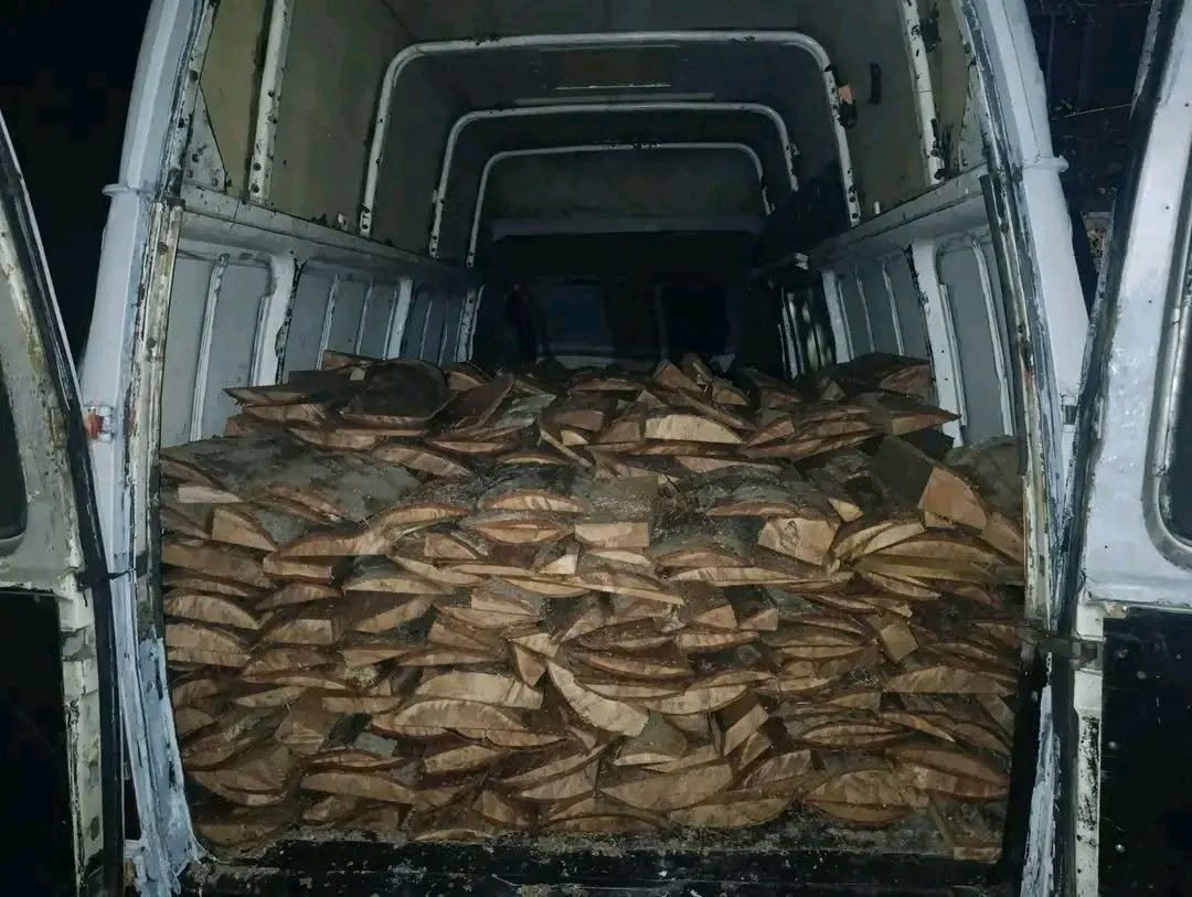 Odun 3 kübik m iğne yapraklı