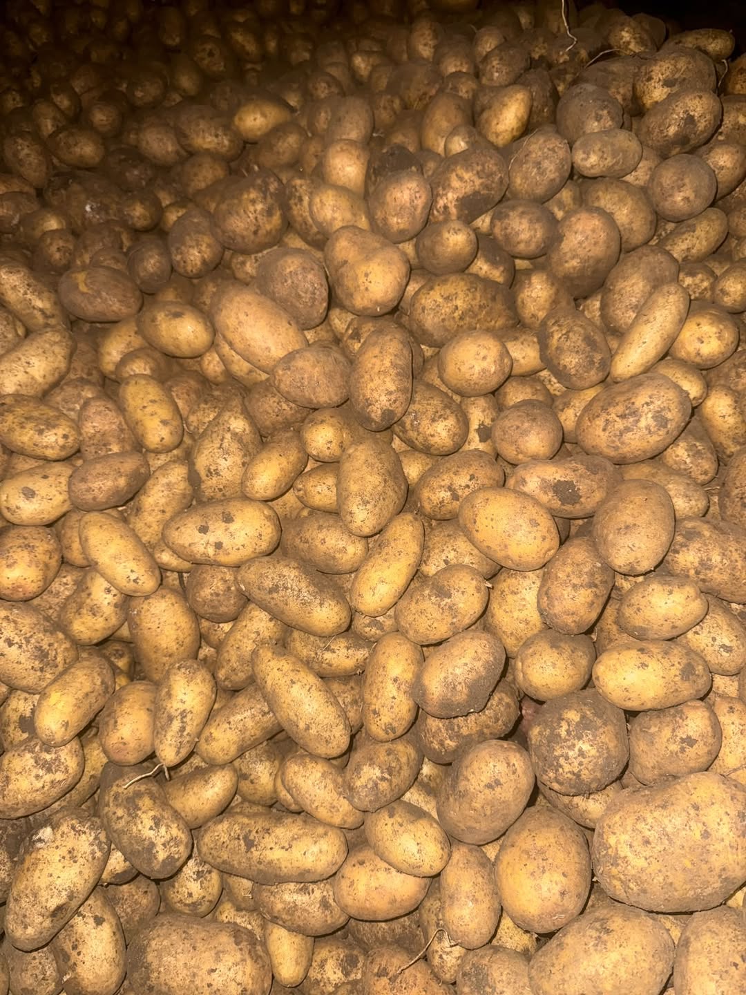 The Kartli potato is only for you
