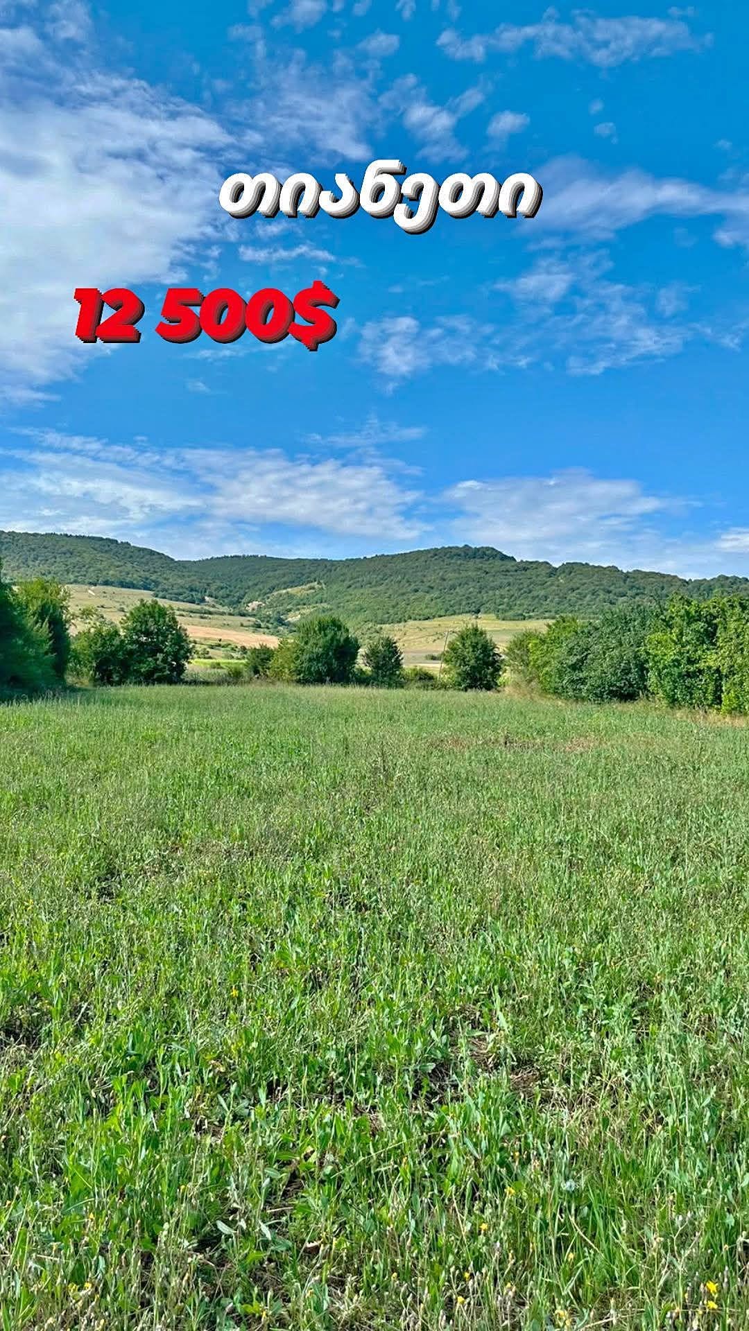 In Tianeti, in the village of Tolenji - land for 12,500$