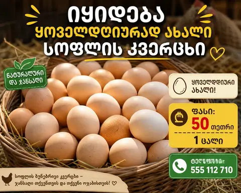 ოზურგეთი სოფელი ოზურგეთი ფერმა გურია — 0.5₾