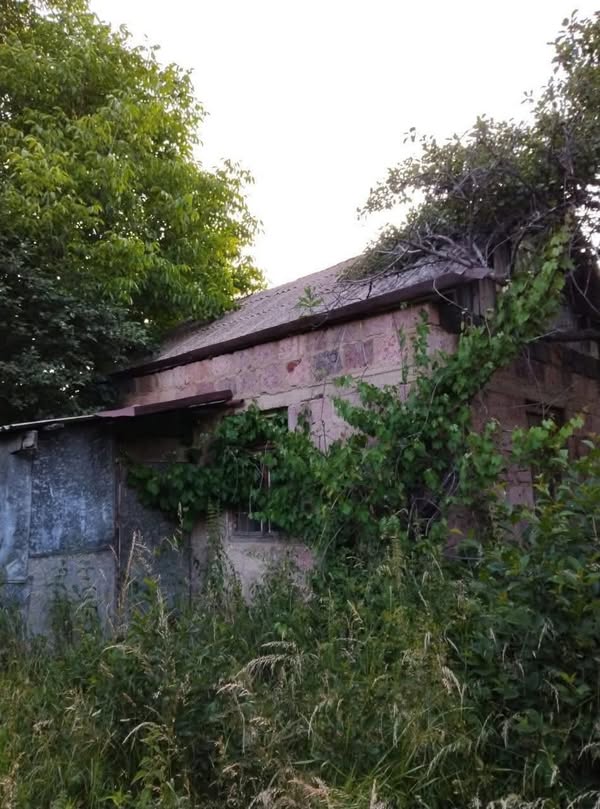 🏠VAÇAĞIRK: Spıtakum 📊Sayat-Nova caddesi➡️2000km 🔖Fiyatı: 13.000$