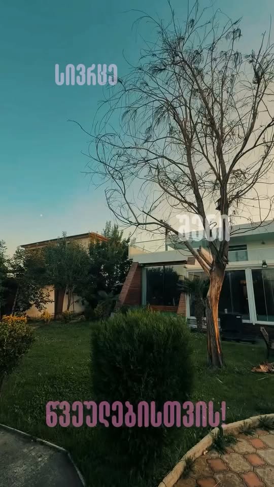 Տուն, Թբիլիսի