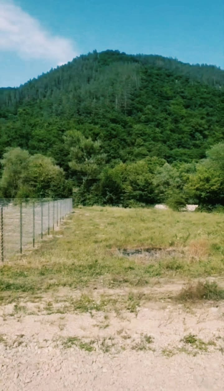 Հողակտոր, Թեթրի ծղարո — $8,000