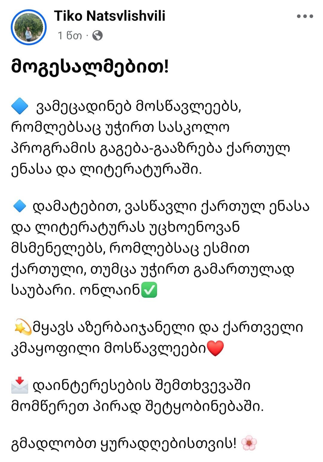 ინდივიდუალური ონლაინ გაკვეთილები ქართულ ენასა და