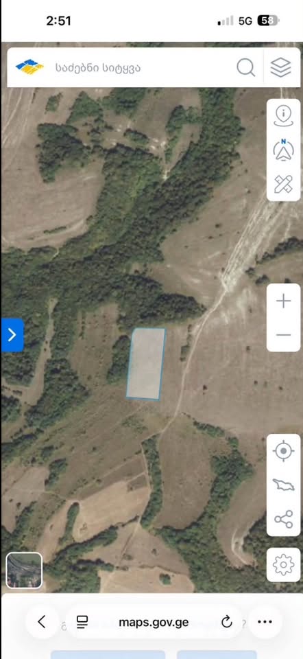 Arazi, Tianeti — $15,000