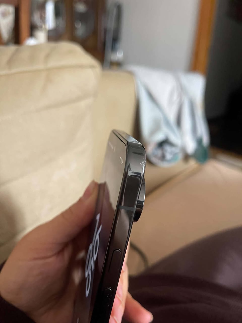 Google Pixel 10 Pro XL Shedzenilia