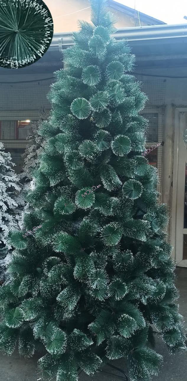 Very lush fir trees with white decorations