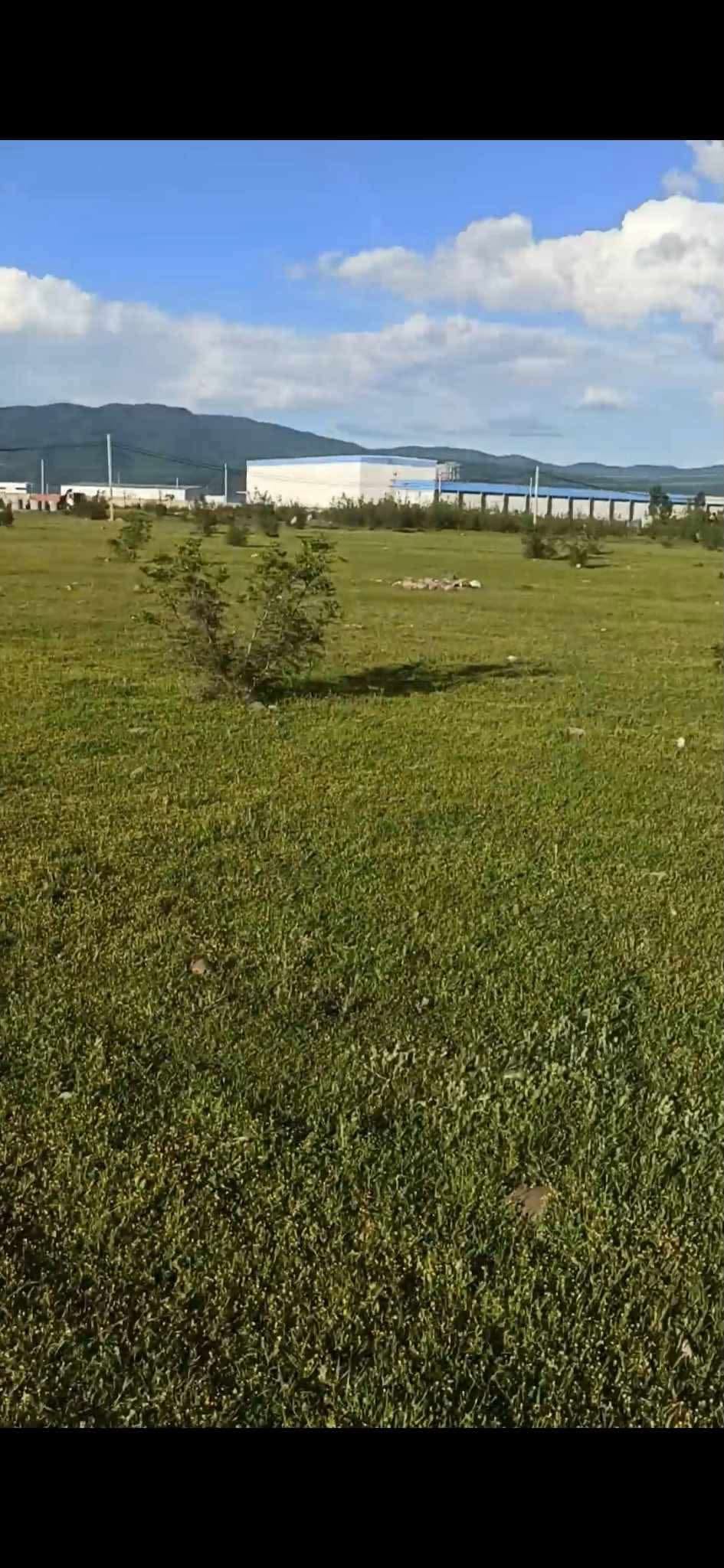 📍Վաճառվում է Նատախտարում, Բարամբոյի ֆաբրիկայի մոտ հող — 40$