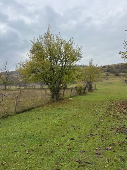 Land plot, Tianeti — $13,000
