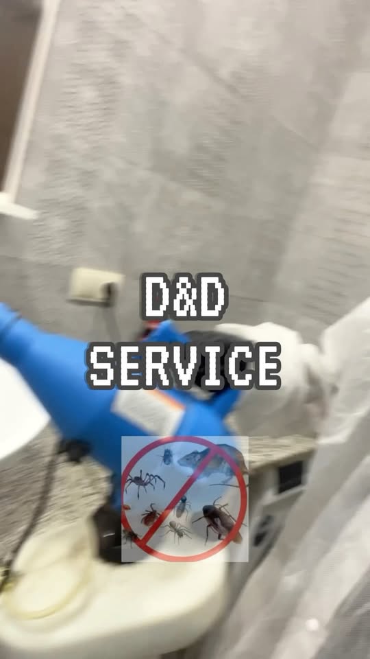 Տիրեք D&D SERVICE-ը Թբիլիսիում և