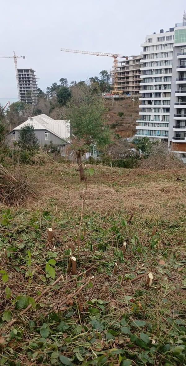 Torpaq sahəsi, Batumi — $500