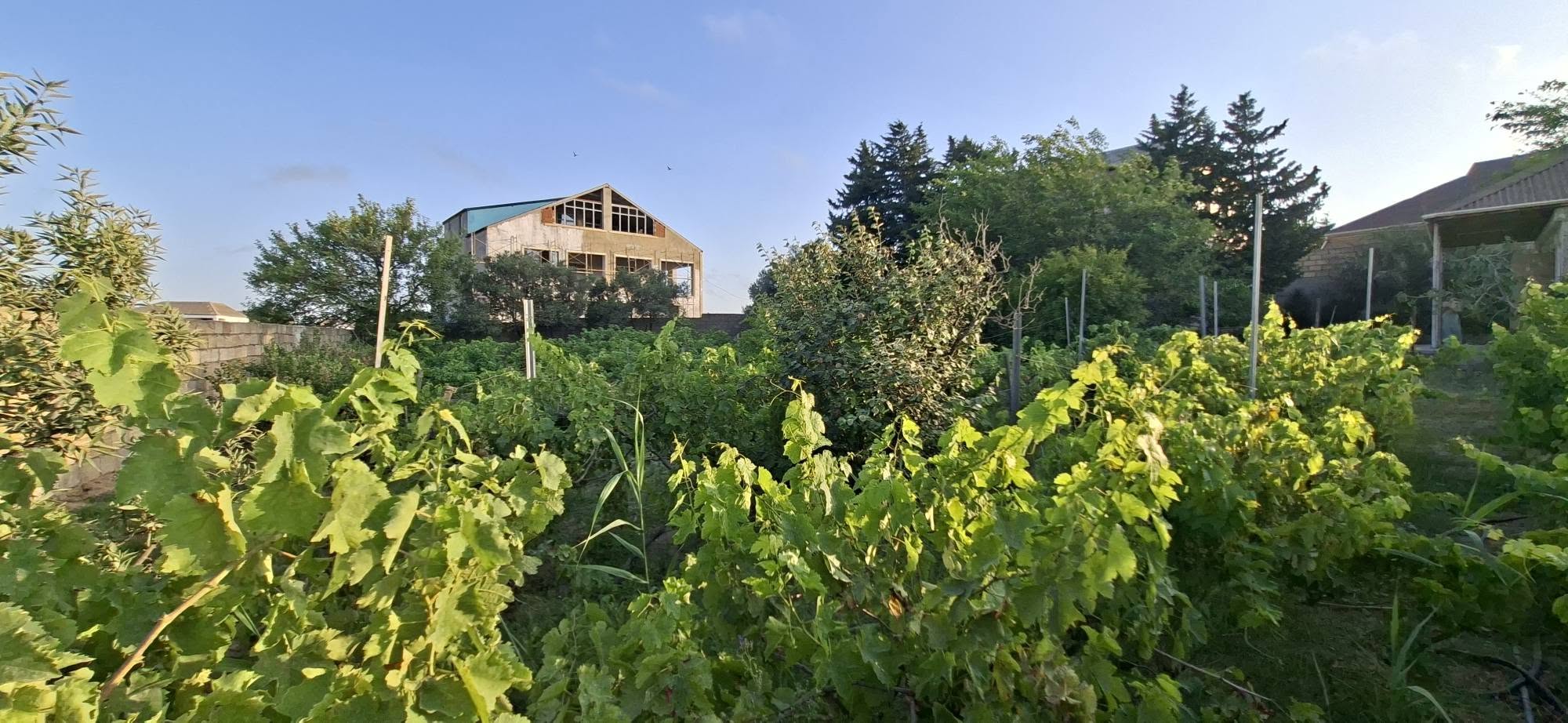 Həyət evi, Bakı — 250,000 ₼