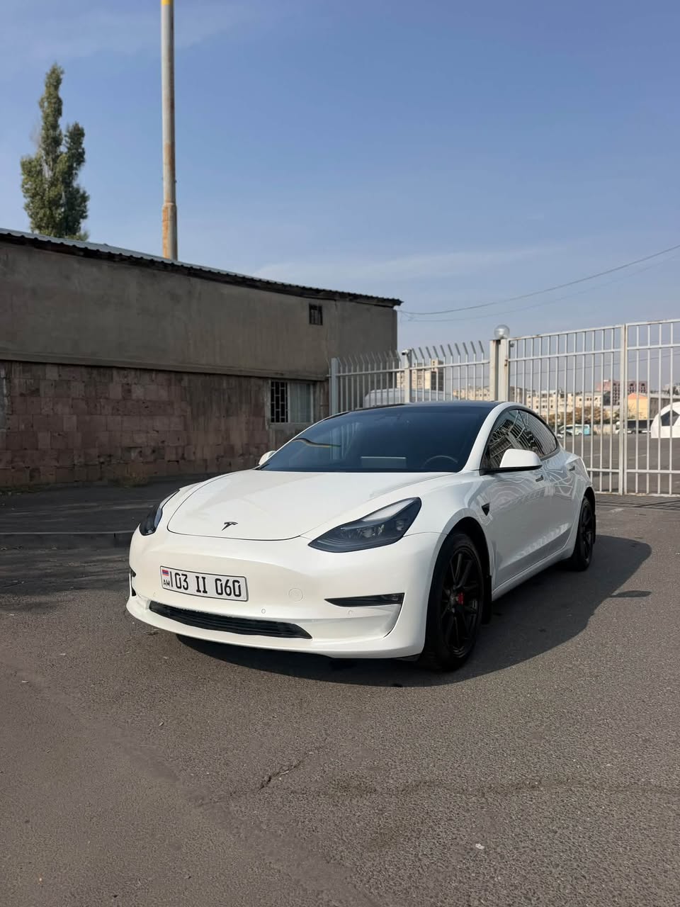 Tiv Shat Lav Vichak 2021 — 14,200₼