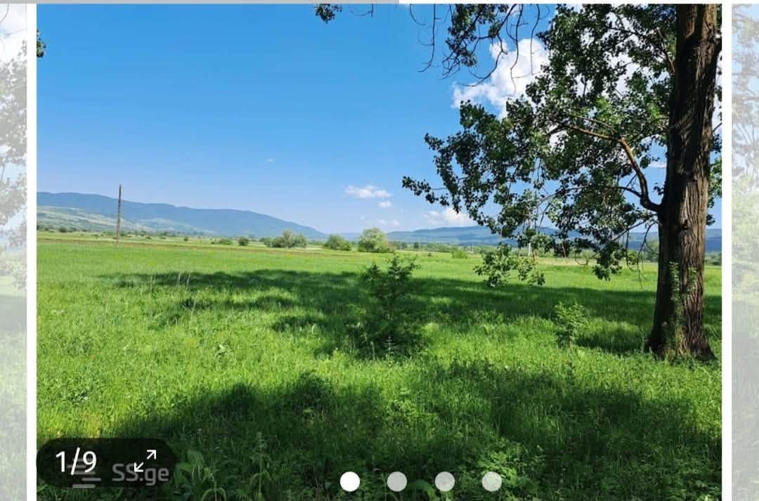 Arazi, Tianeti — $8,500