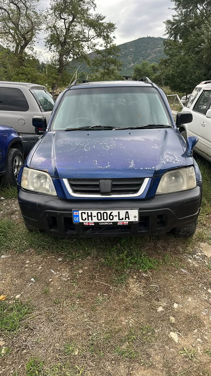 Mamkodada Gldani, 10 dəqiqəlik məsafədə