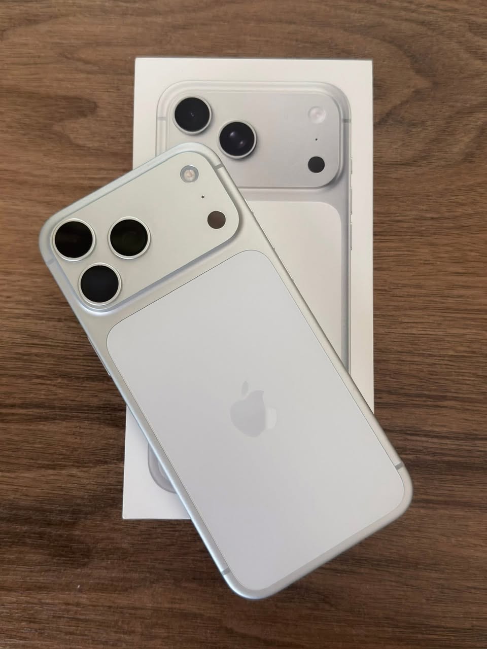 iPhone 17 Pro Max, ვერცხლისფერი, 256GB