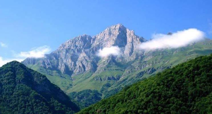 Araç