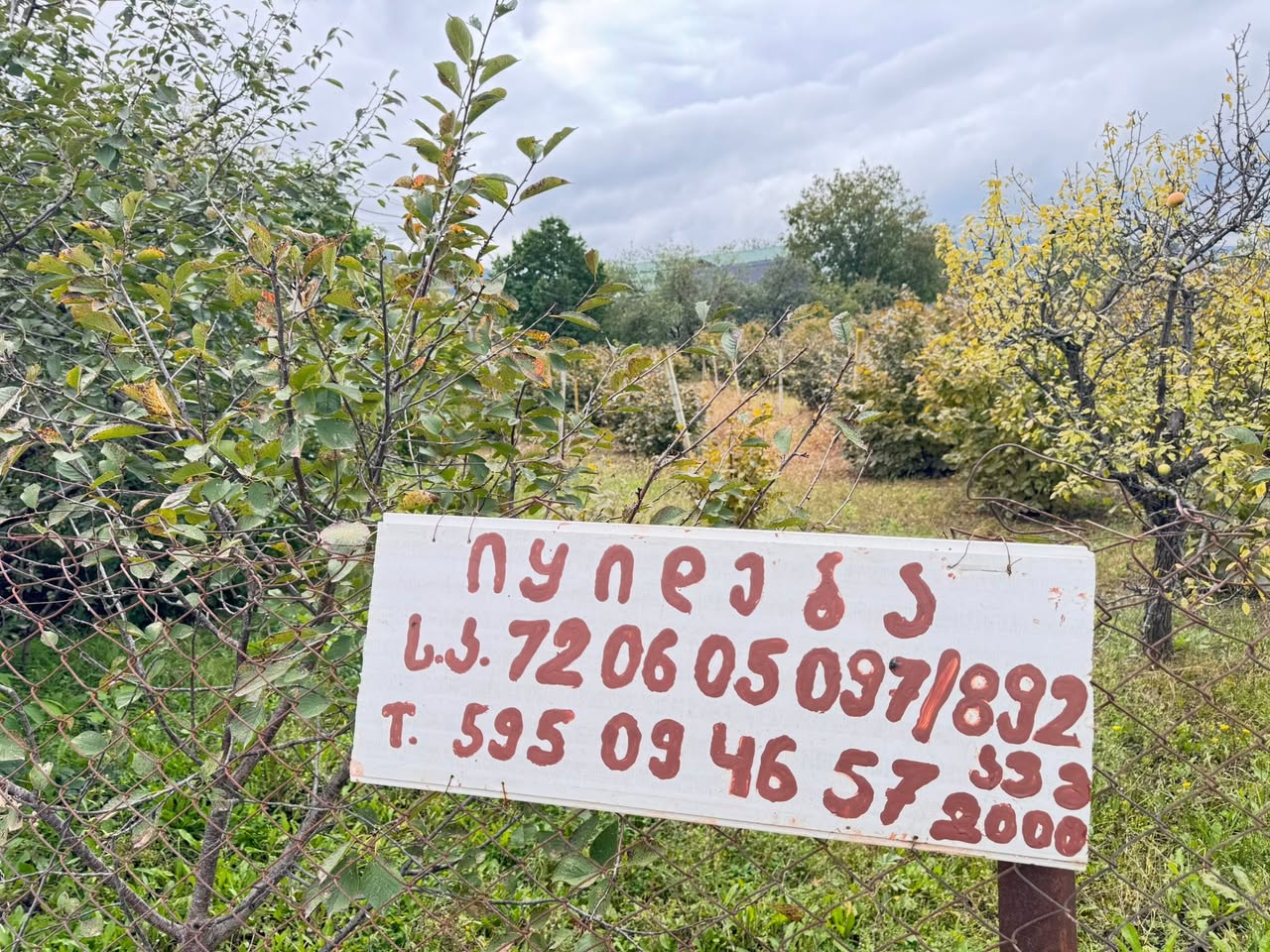 Satılık daire, Mcxeta