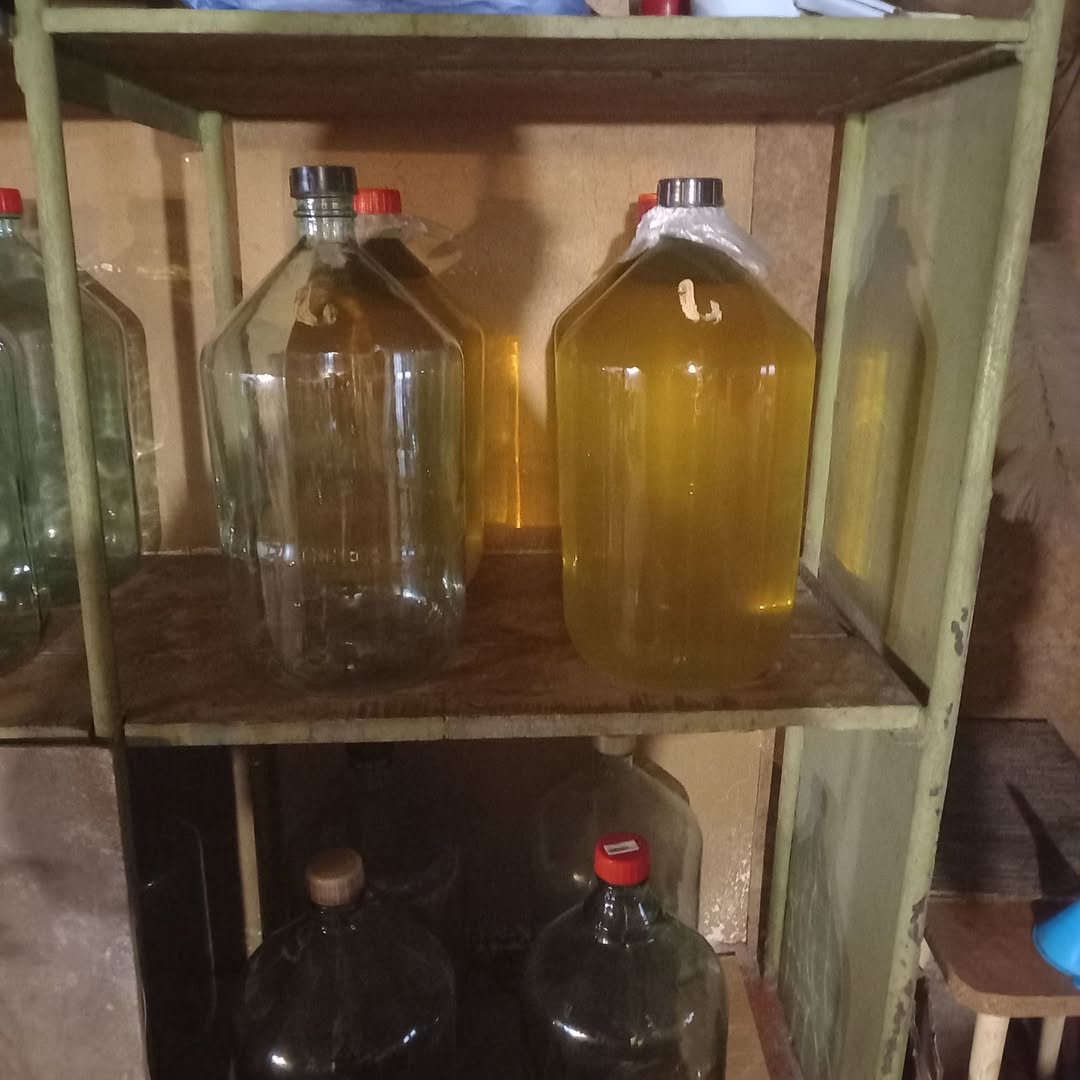 Rkatsiteli 7 lari kalıntısı 60 litre