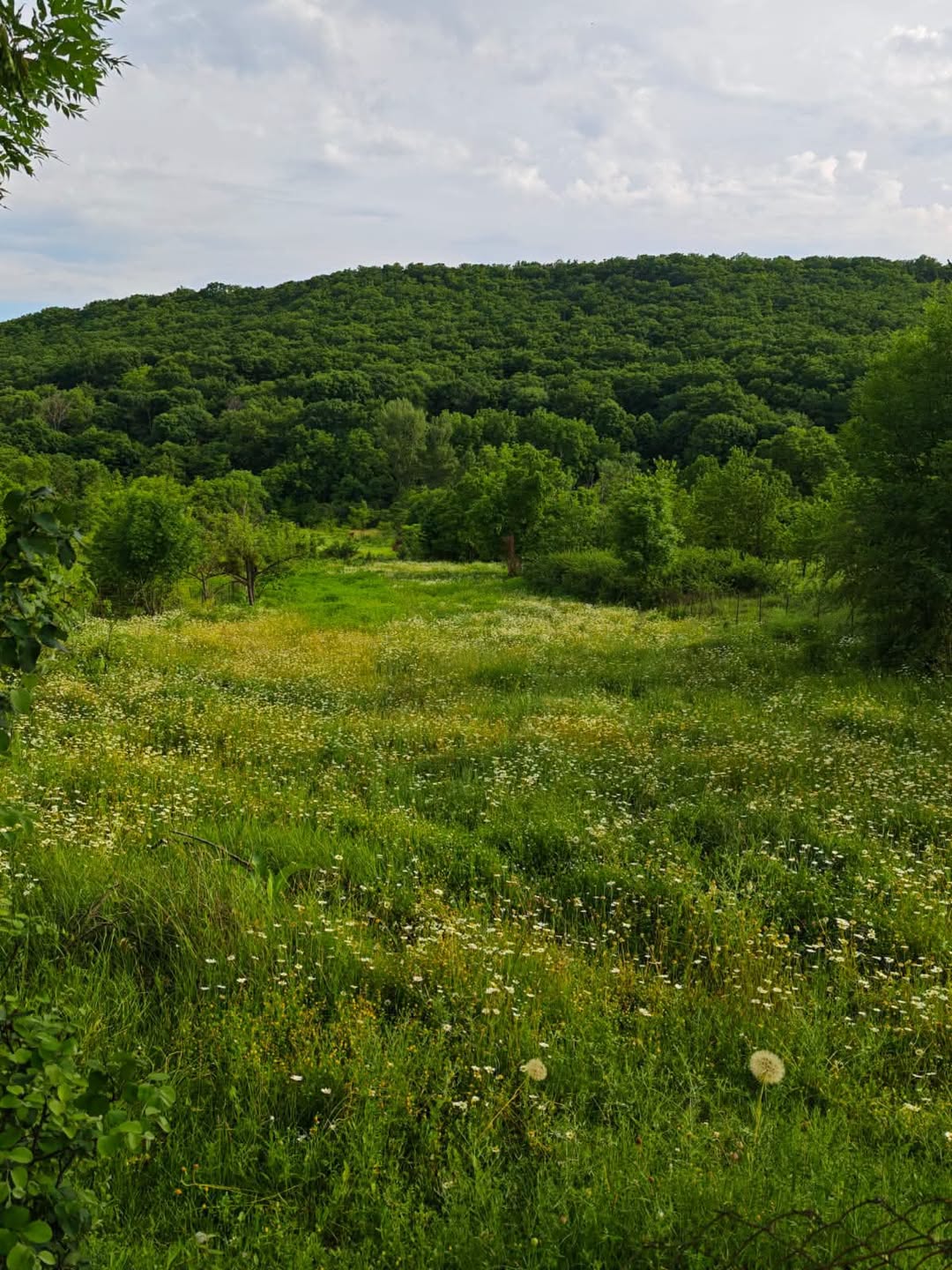 Land plot, Tbilisi