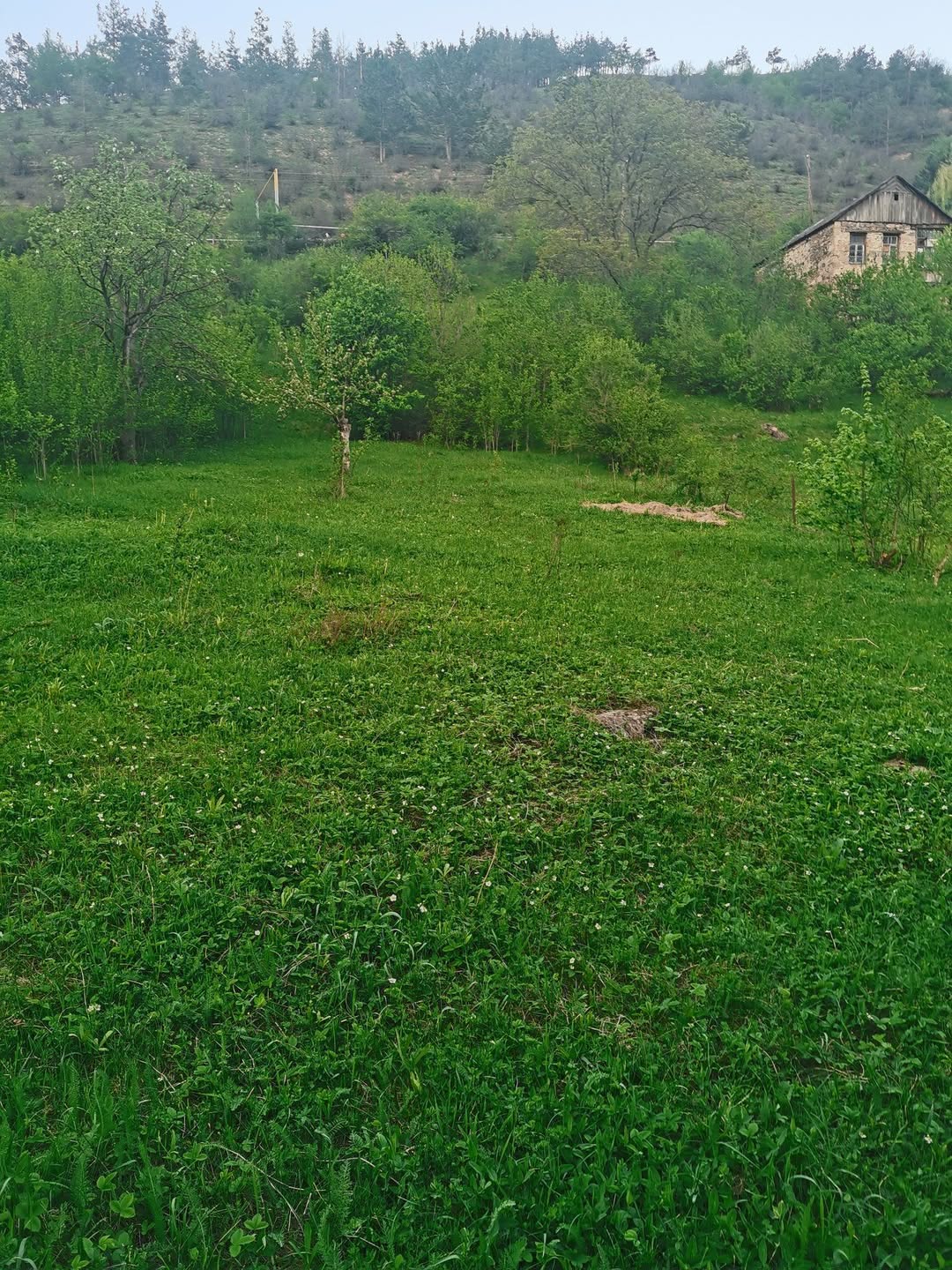 Tavuş bölgəsinin Dilican şəhərinin kəndi - 28,000$